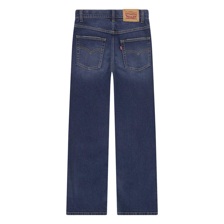 8EN331-DAE Lvb 555 relaxed straight