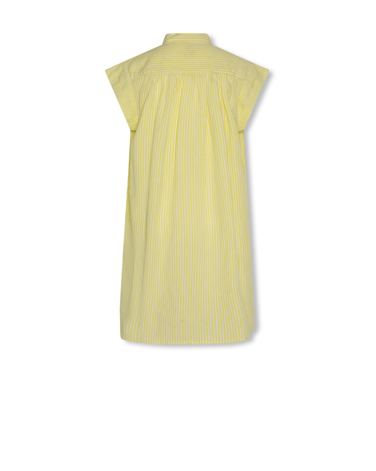 Ao76 126-1724-680 gem dress lias citrus