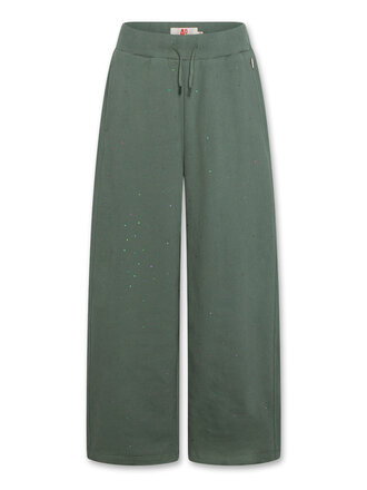 Ao76 226-1611-304 belga pants strass 000455 forest