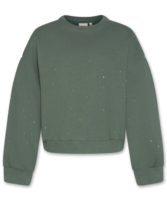 Ao76 226-1124-304 noemi sweater strass 000455 forest