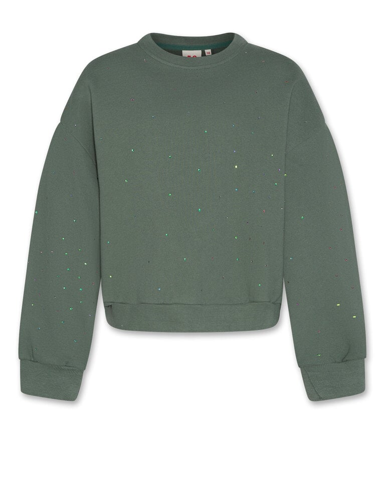 Ao76 226-1124-304 noemi sweater strass 000455 forest