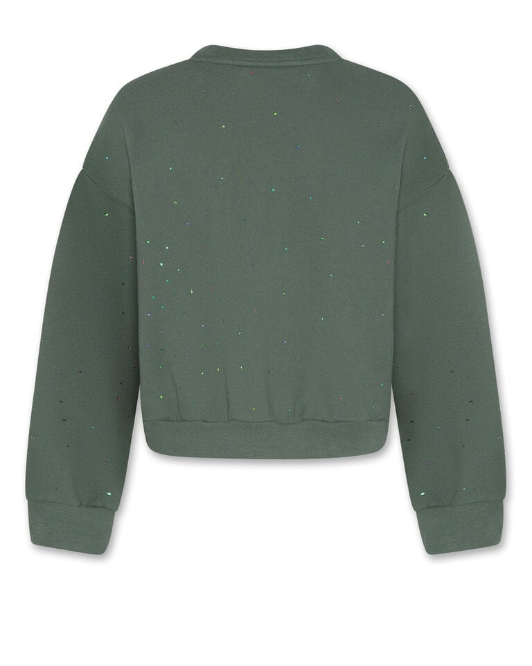 Ao76 226-1124-304 noemi sweater strass 000455 forest