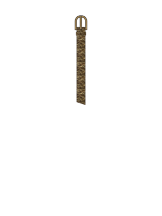 Ao76 226-1995 asha belt 000013 gold