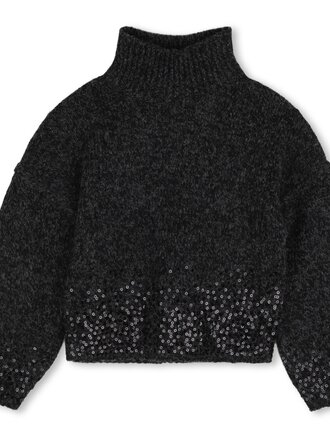 Zadig & Voltaire X60811 Trui Heergrijs
