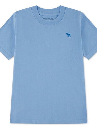 Abercrombie & Fitch 93AF15-BKK Essential tee