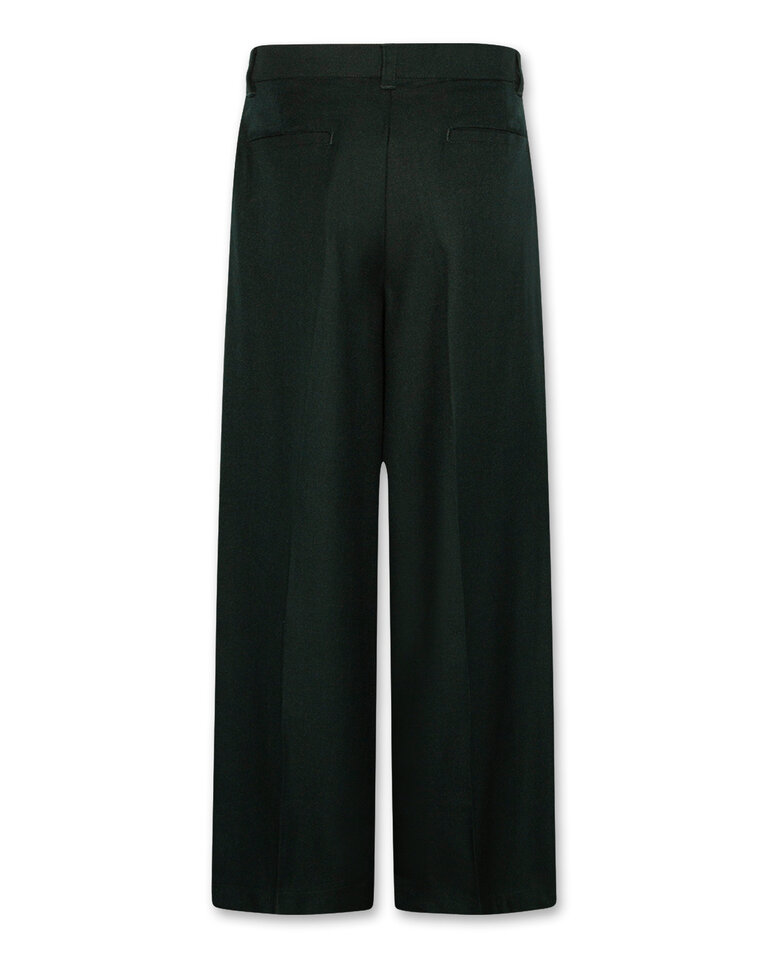 Ao76 226-1688-471 troy  pants han 000470 school green