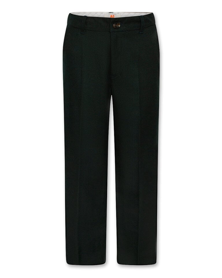 Ao76 226-2631-471 pants pino han 000470  school green