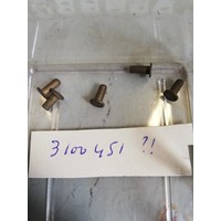 Klinknagel remvoering 3100451 NOS DAF 44