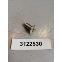 Bout 10mm verzonken kop inbus 3122530 NOS DAF, Volvo 66, 300 serie