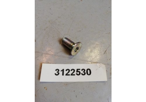 Bout 10mm verzonken kop inbus 3122530 NOS DAF, Volvo 66, 300 serie 