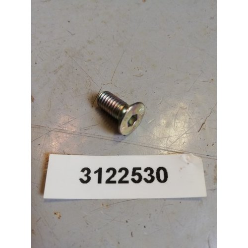 Bout 10mm verzonken kop inbus 3122530 NOS DAF, Volvo 66, 300 serie 