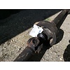 Volvo 244 Drive shaft intermediate shaft cardan shaft 3502043 uses Volvo 244 GL