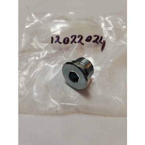 Sealing screw lambda sensor holder M18x1.5 hexagon socket 12022024 NEW Volvo universal 