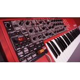 Nord Lead 4 (jong gebruikt)