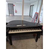 Dutch Grand used met bijpassende hoes