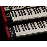 Nord Organ 3 - B stock