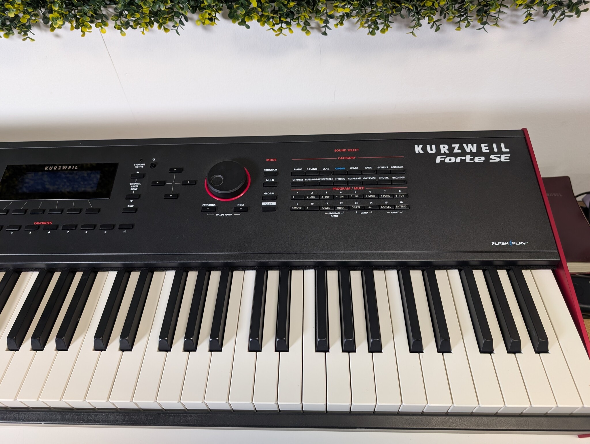 Kurzweil Forte SE van Frank van Essen geweest