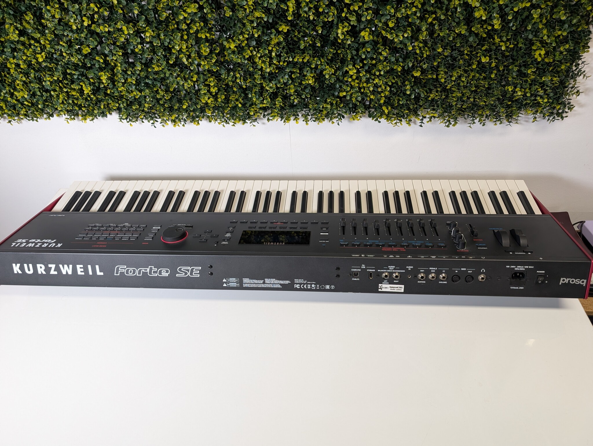 Kurzweil Forte SE van Frank van Essen geweest