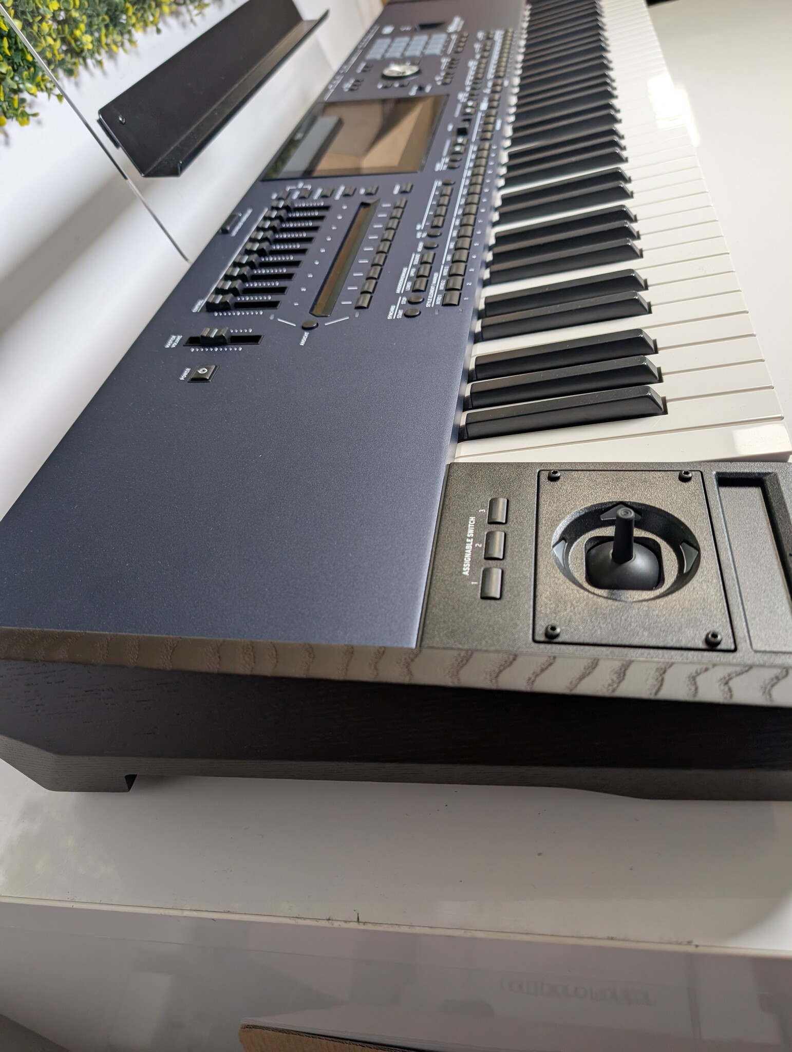 Korg Pa5X-76 Muzikant Arranger Workstation Waanzinnige Deal