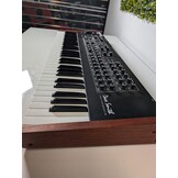 Prophet Rev 2 - 16 voices - Synthesizer + gator 61 hoes