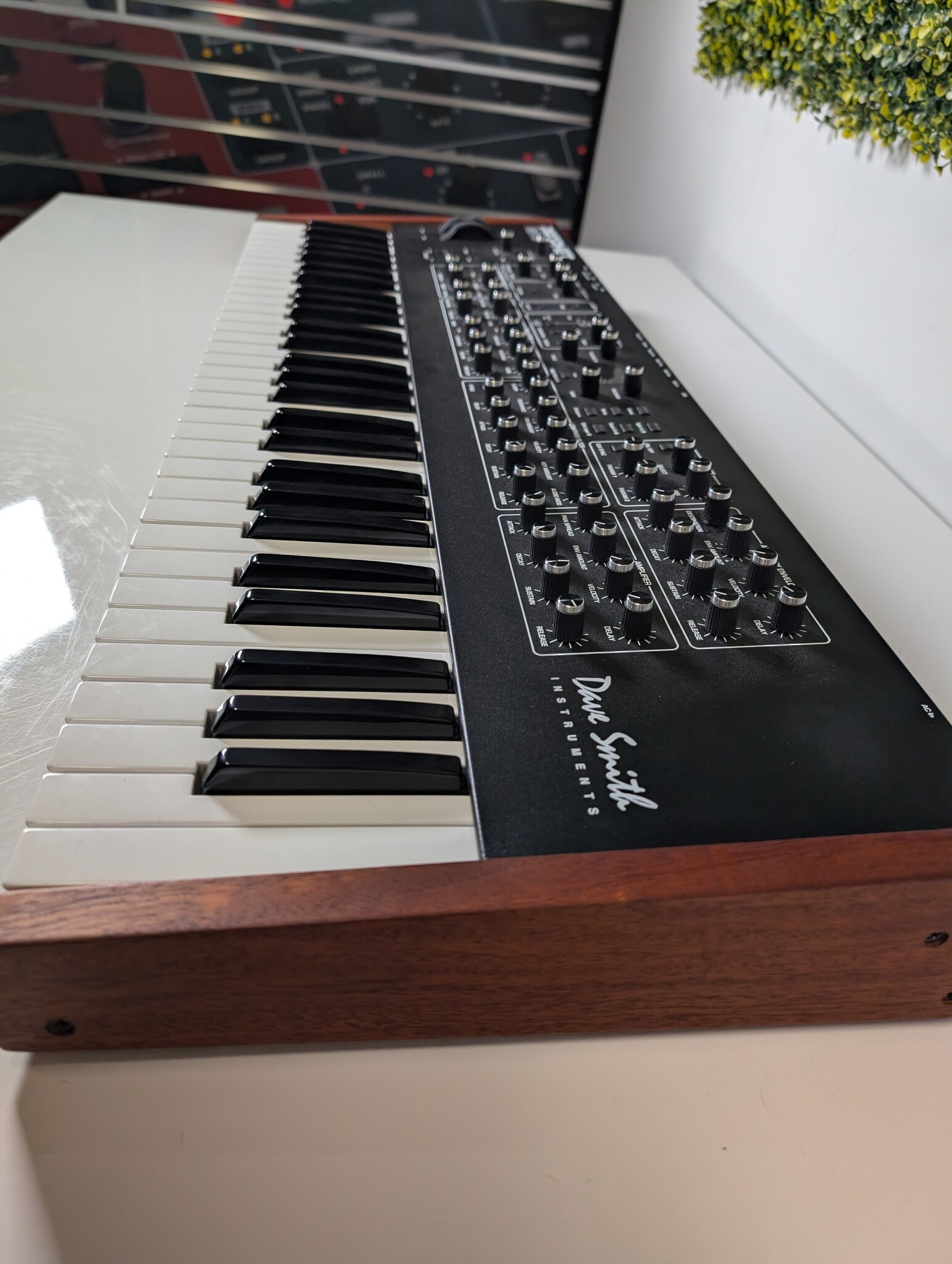 Prophet Rev 2 - 16 voices - Synthesizer + gator 61 hoes