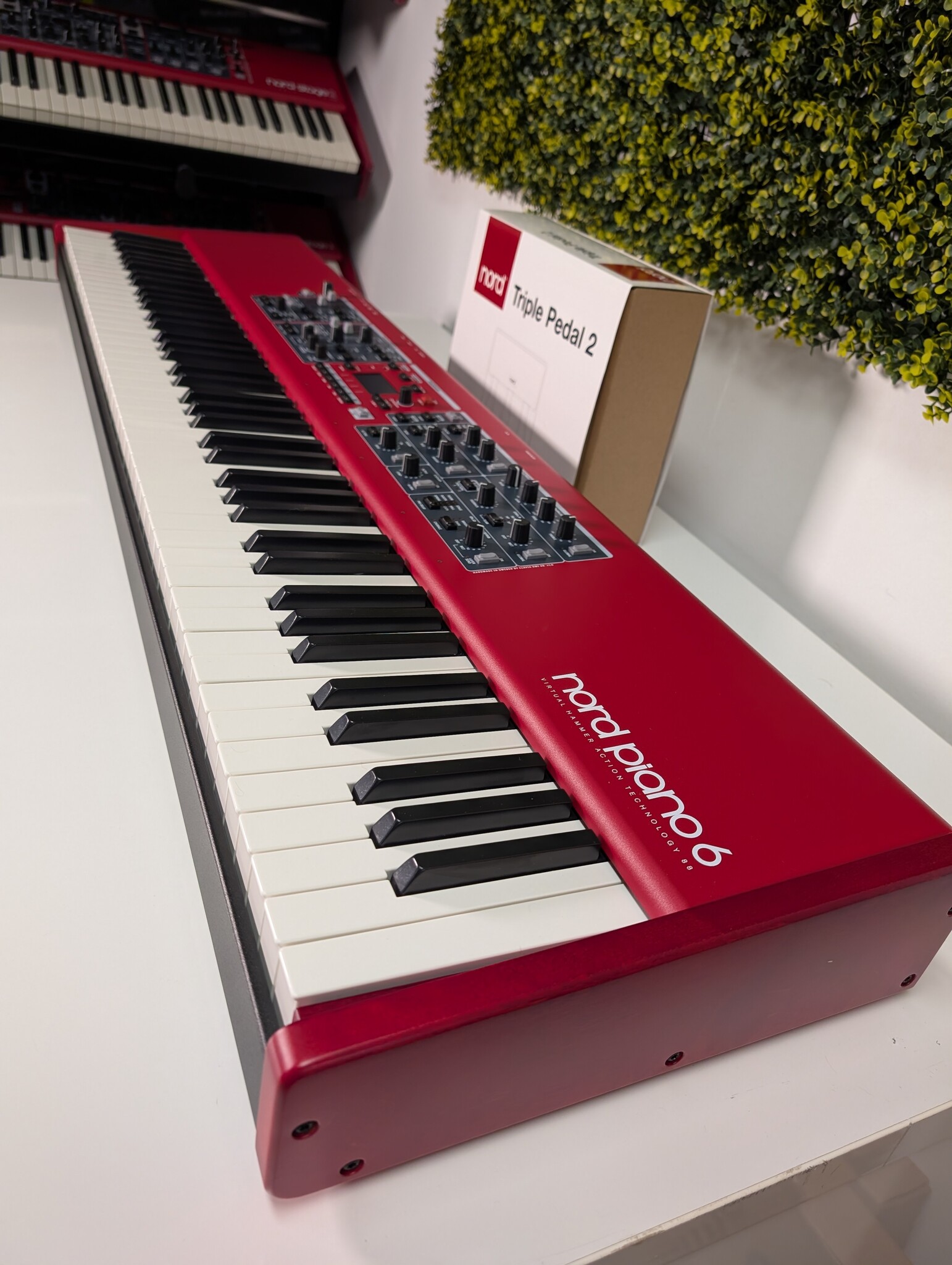 Clavia Nord Piano 6 88 B stock | Prosq Music