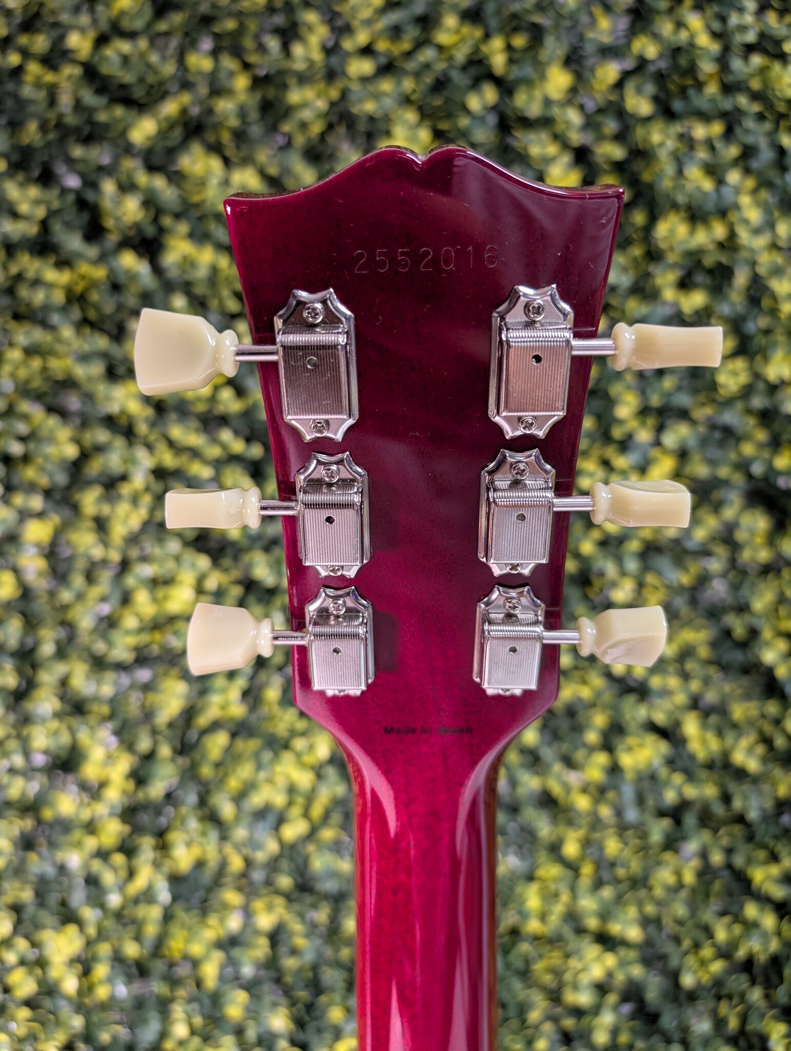 Let op ACTIE! Tokai Love Rock LS-101 – Candy Apple Red