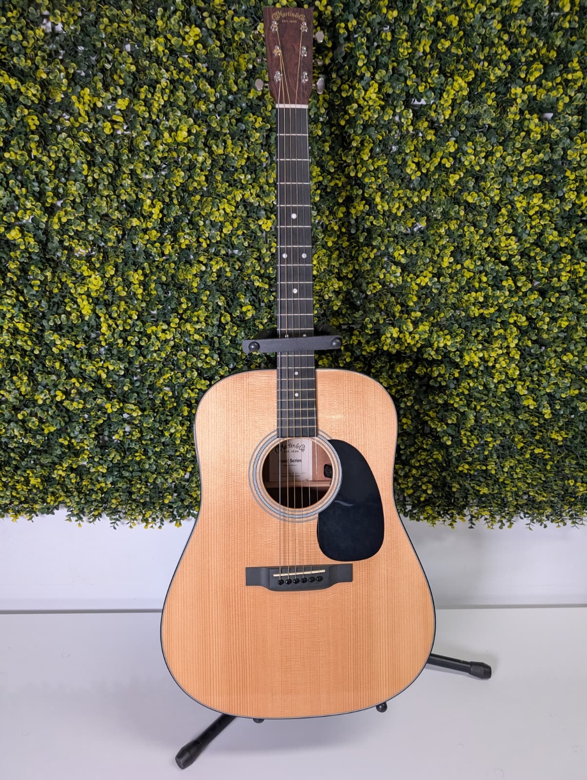 Martin Road Series D-12 Western gitaar met softcase