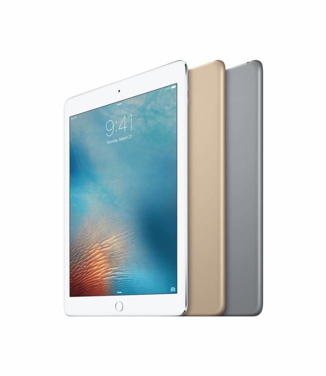 Apple iPad Air Grijs