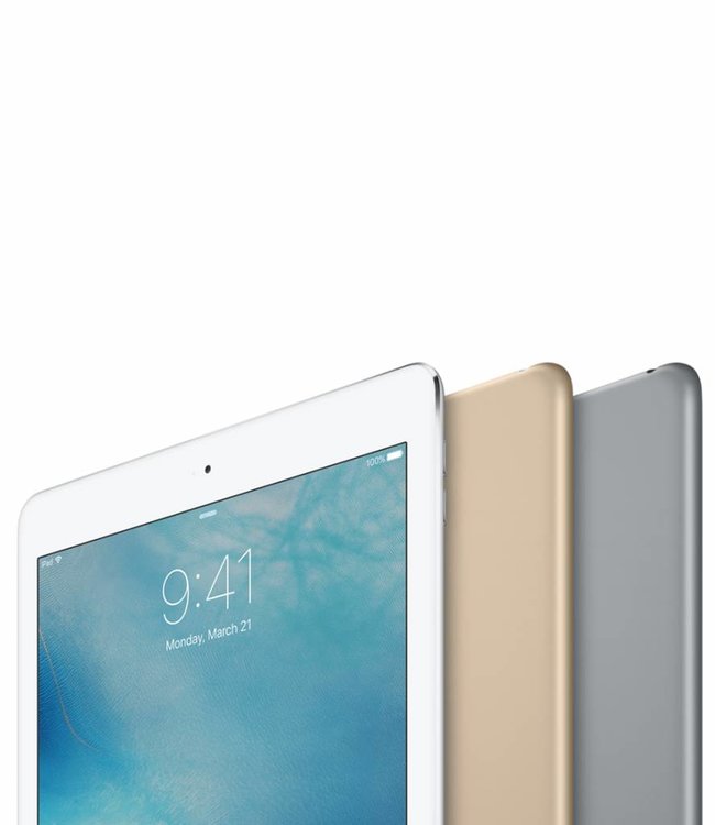 Apple iPad Air Grijs