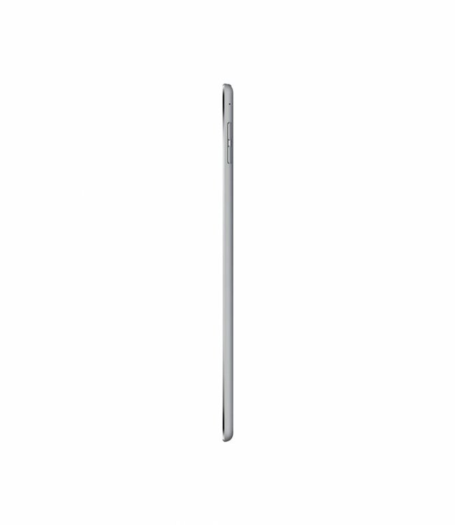 Apple iPad Mini Grijs