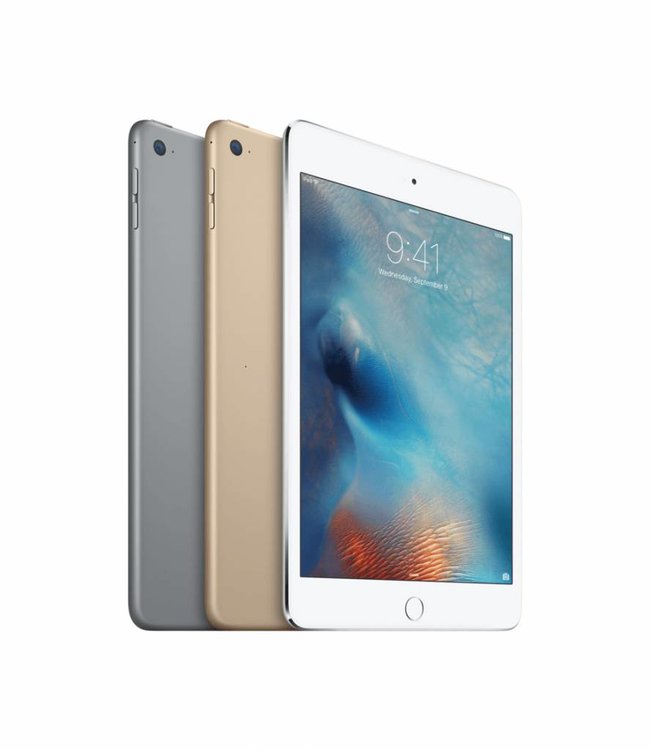 Apple iPad Mini Grijs