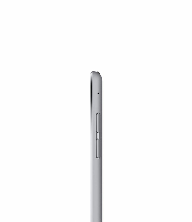 Apple iPad Mini Grijs