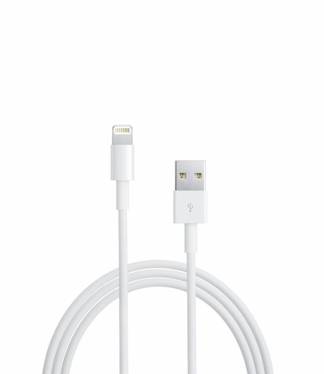 Apple Apple Lightning USB Cable
