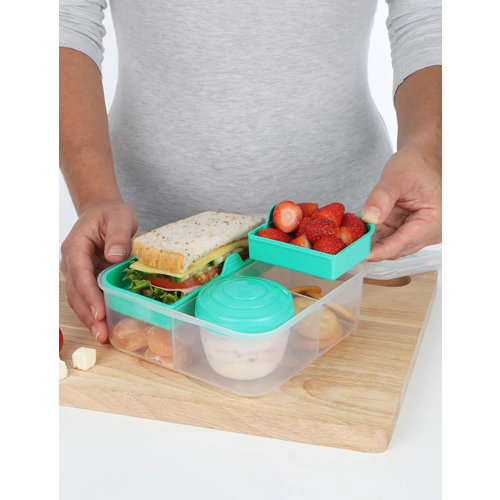 Sistema Bento Box 1.25L – Transparant Blue