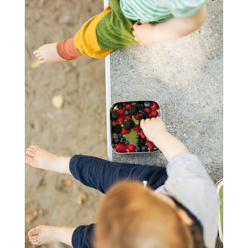 Eco Brotbox RVS Lunchbox Classic