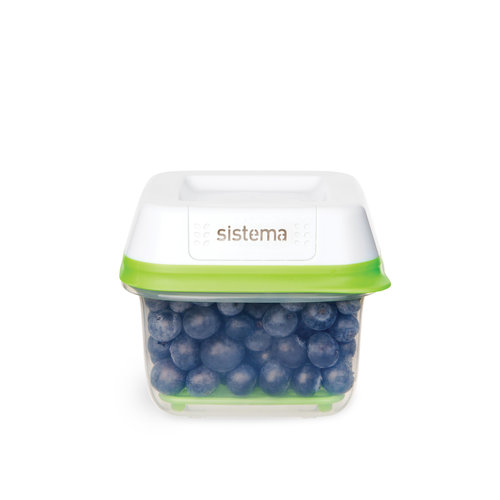 Sistema FreshWorks Storage Container With Fresh Filter - 591ml