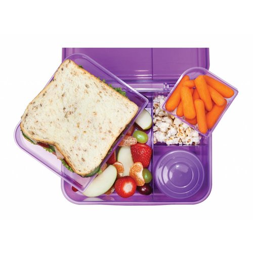 Sistema Bento Lunchbox 1.65L Neu - Teal