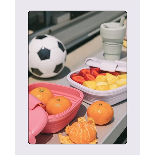 Stojo Collapsible Silicone Lunch Box 700ml - Pink