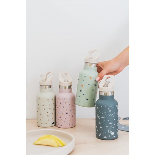 The Cotton Cloud Stainless Steel Drink Bottle - Teckel