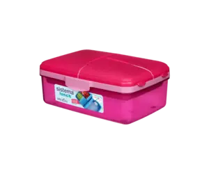 https://cdn.webshopapp.com/shops/202763/files/434652225/300x250x2/sistema-lunchbox-slimline-quaddie-pink.jpg