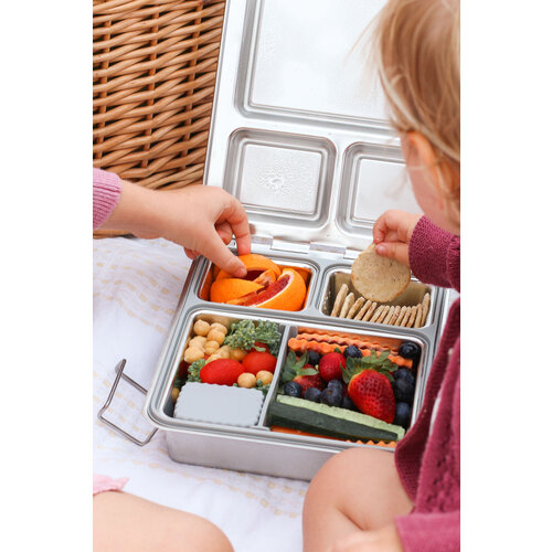 Little Lunchbox Co Bento Stainless Maxi Lunchbox