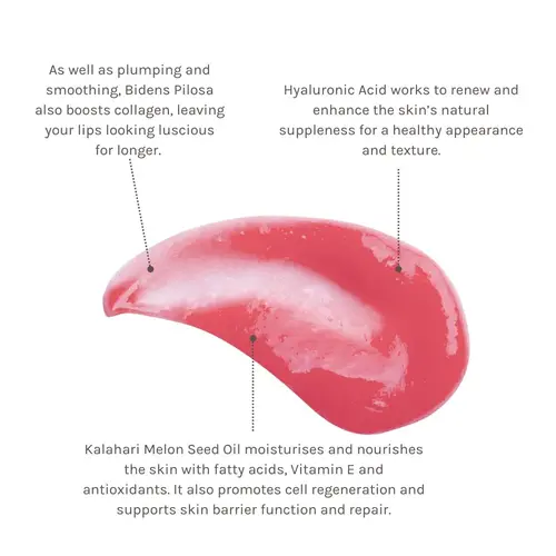 Evolve Beauty Bio-Retinol Glossy Lip Oil