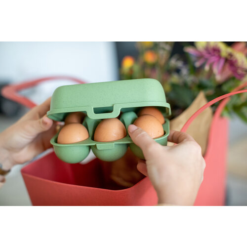 Koziol Bio Circular Reusable Mini Egg Carton - Grey