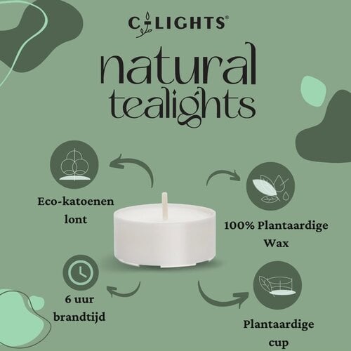 C-Lights Natürliche Teelichter 100 Stück
