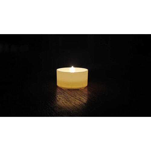 Tealights Pure Nature Lights tempo di combustione 10 ore  candele cera di colza 8pz-31-502-8