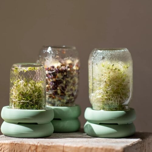 Food Huggers Sprout Huggers Home Sprouting Kit