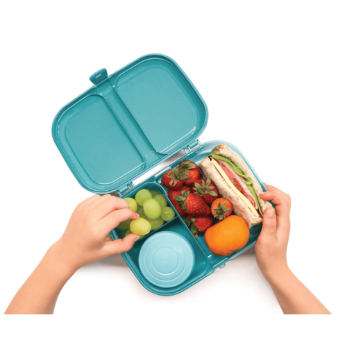 Sistema Ocean Bound Bento Lunchbox 1.25L - Mountain Blue