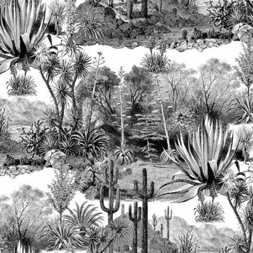 Pierre Frey Pierre Frey Pampa FP395001 Pierre Frey Pierre Frey Pampa FP395001