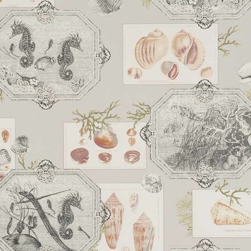 Pierre Frey Pierre Frey Aquarius FP193001 Pierre Frey Pierre Frey Aquarius FP193001